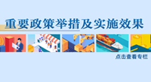 主 題：重要政策舉措及實施效果